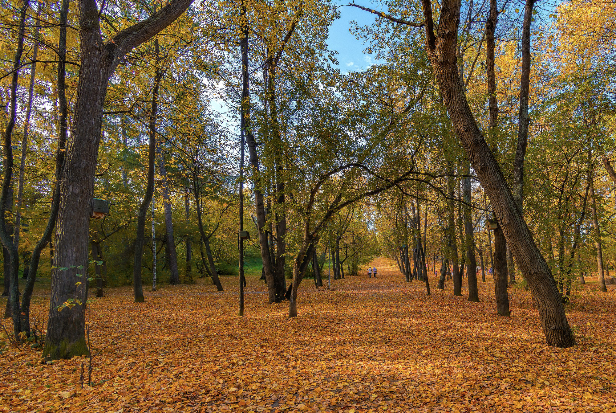 Парк Екатеринбурга осенью