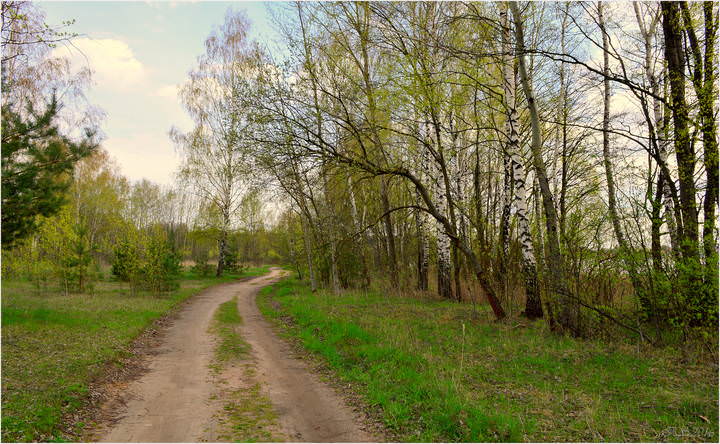 по весенней дороге