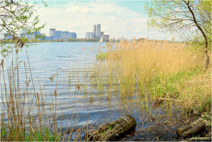 парус