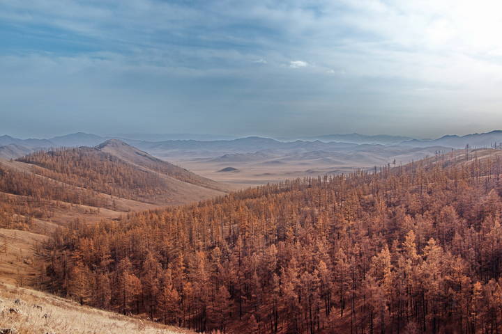 Осеннние просторы