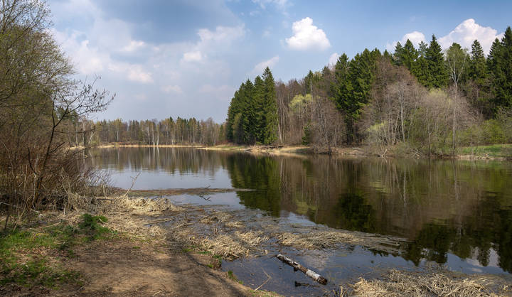 Чёрная речка