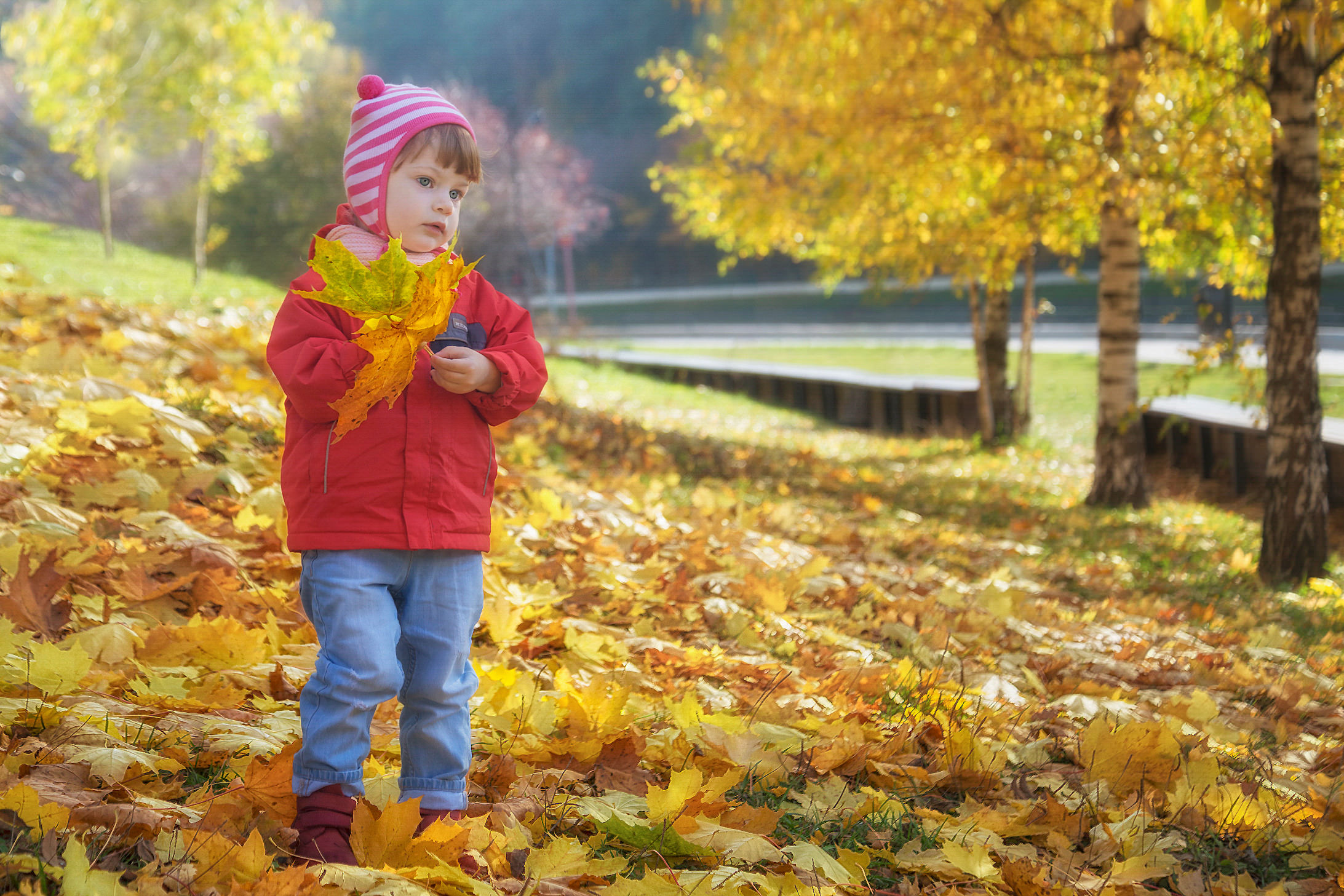 Какая сейчас осень. Осенняя сказка. Чудная осень. Осень чудная пора. Осенние картинки для детей несколько.