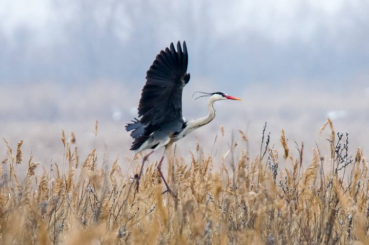 # 1