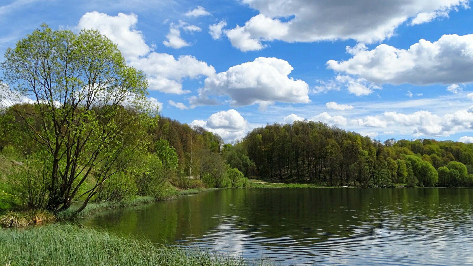 Озеро Александровское в Выборгском районе