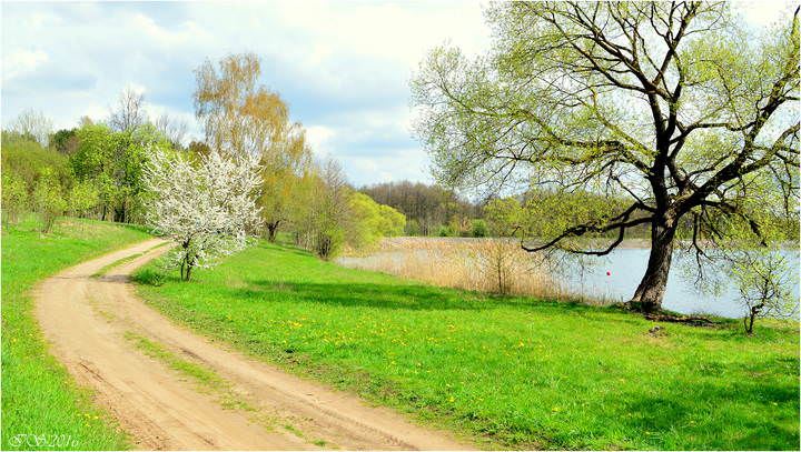 весна