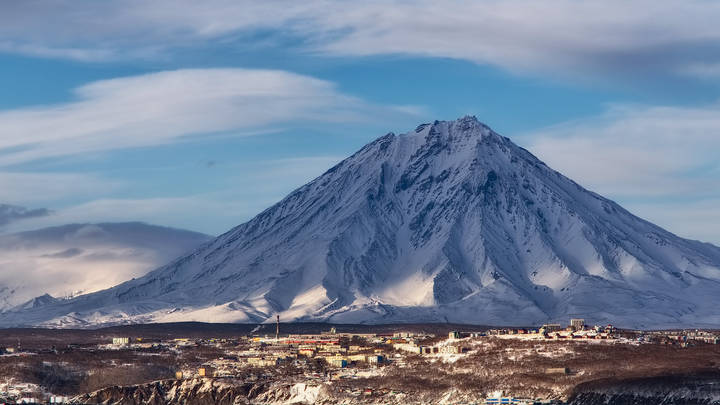 "Серый Кардинал"