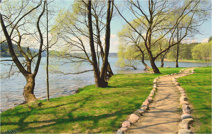 весенний берег