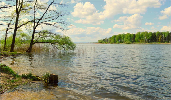 весна*
