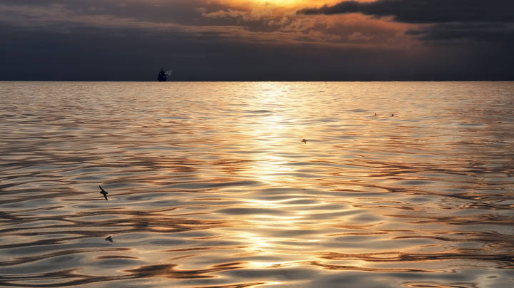 golden waves