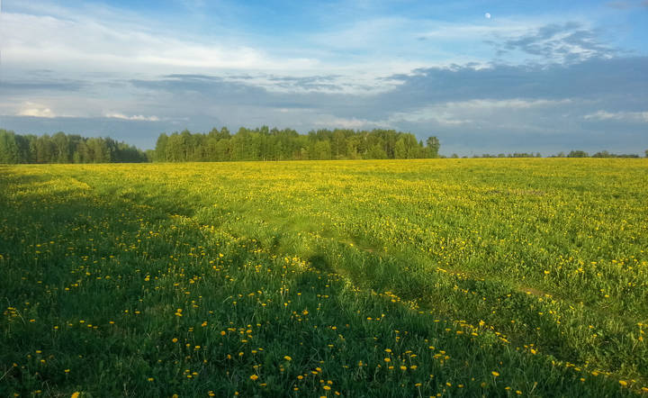 Пейзажная мобилография