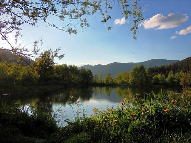 В Карпатах