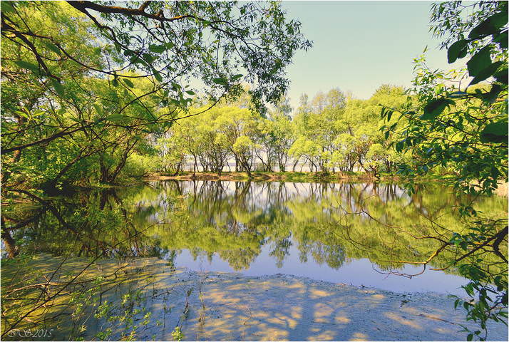 скоро полдень