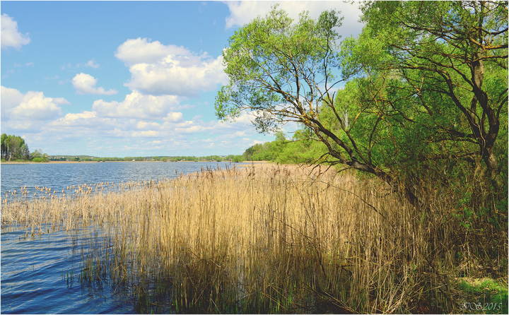 весенний берег