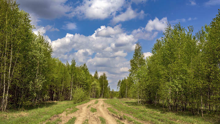 полдень 