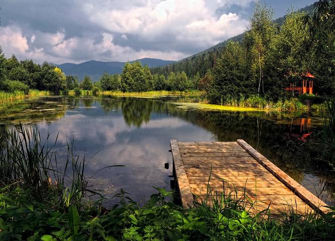Прикарпатье
