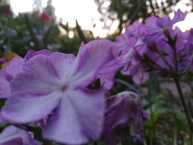 5ce59dc0e2cfda6c9f3eab5c