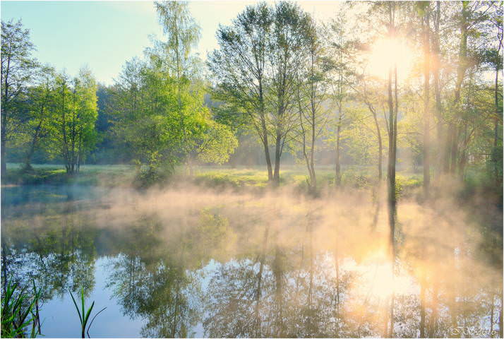 утреннее солнце