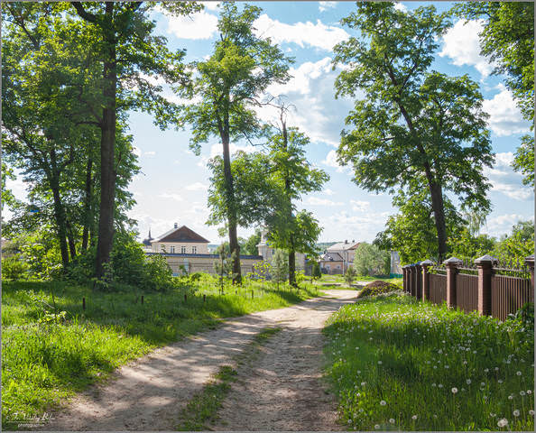 Майская зелень