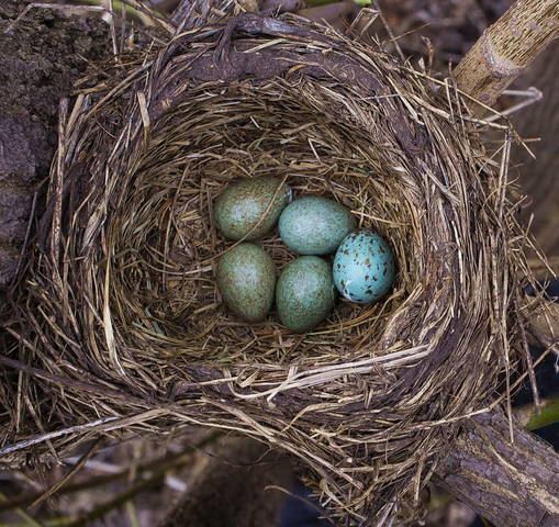 # 3