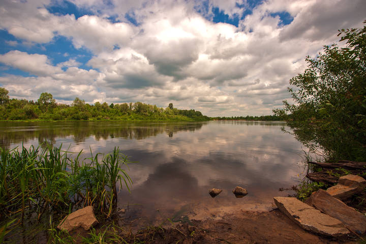 5cead324e2cfda4b750a0cc6