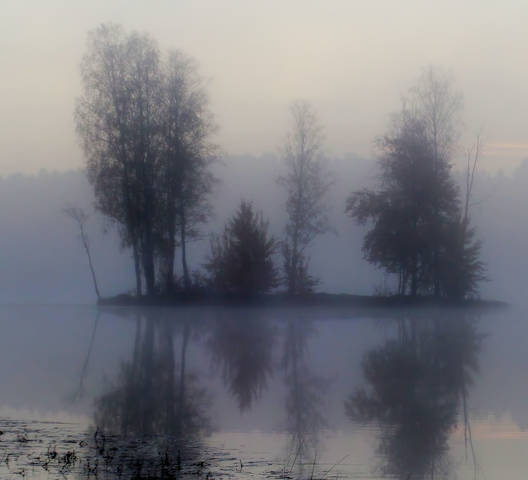 Утром туманным.......