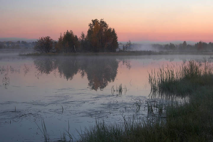 Осенним утром
