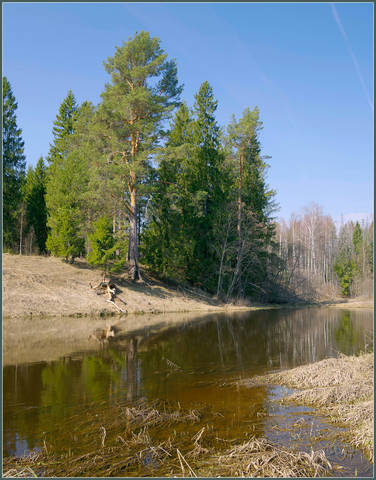 Река Нерль в апреле