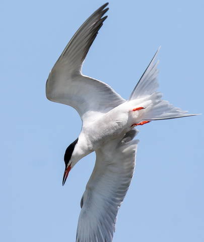 # 4