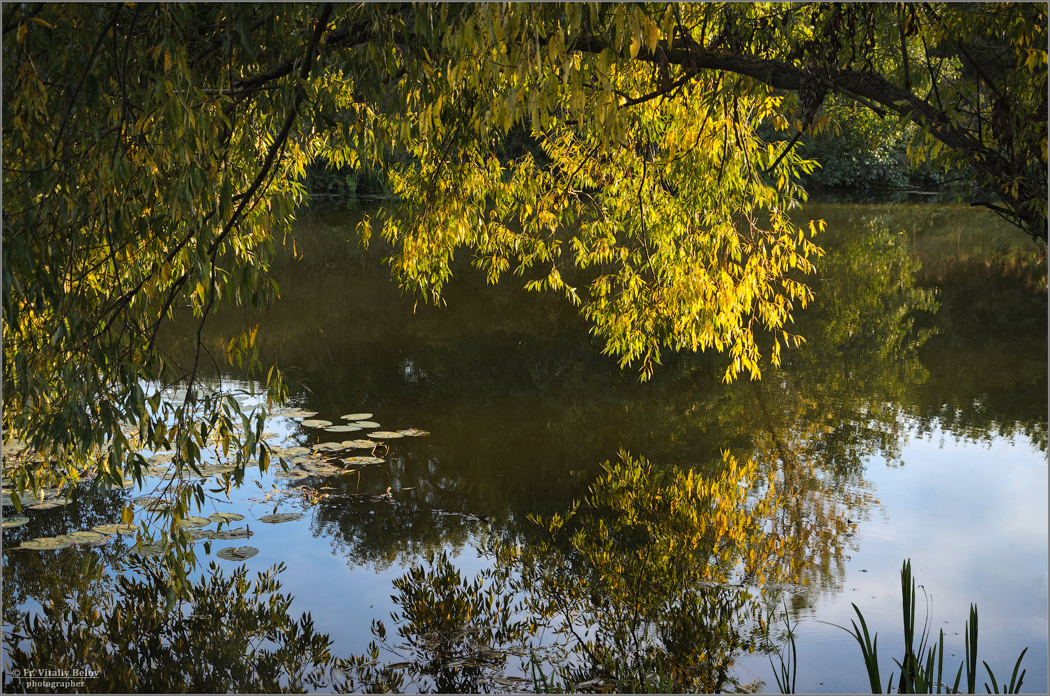 Осенний занавес на реке Коломенке