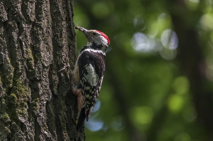 # 3
