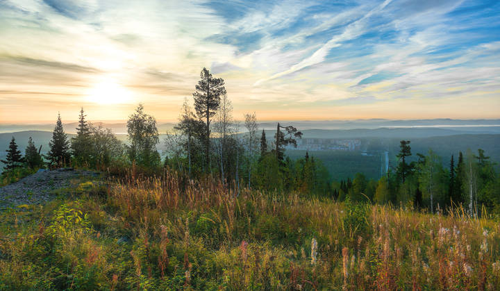 Осеннее разноцветье