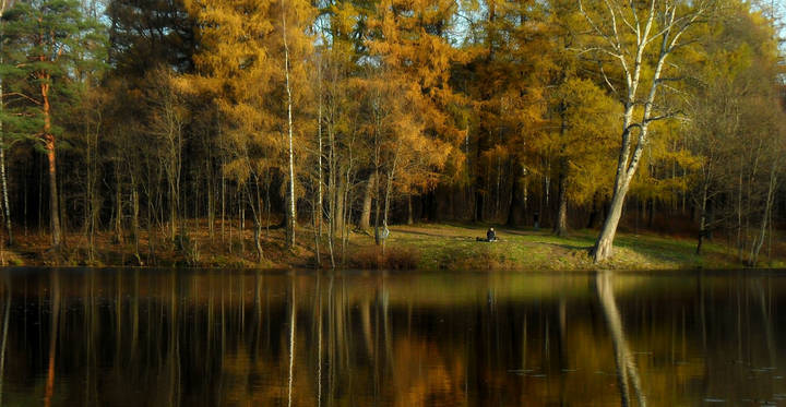 В вечернем свете........ 