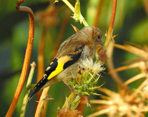 # 2