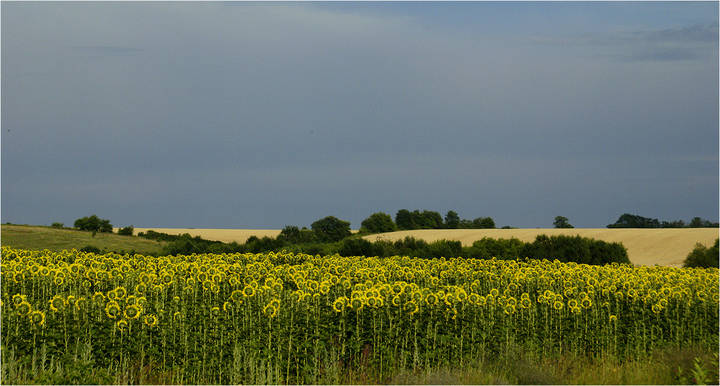 Дорожная зарисовка