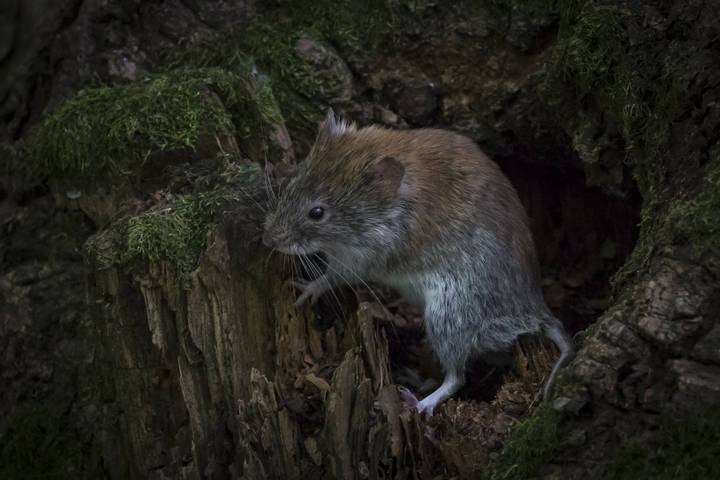# 2