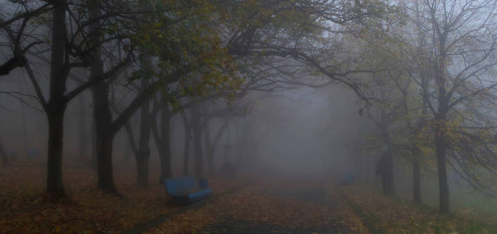 В парке осеннем.......  