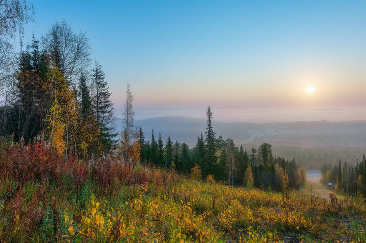 Осень, туманное утро