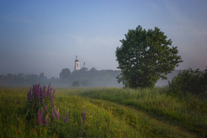 Летние  зарисовки