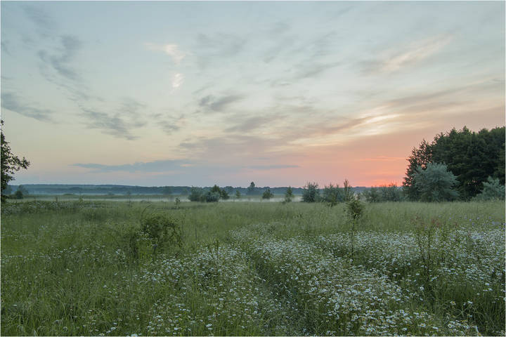 Колея