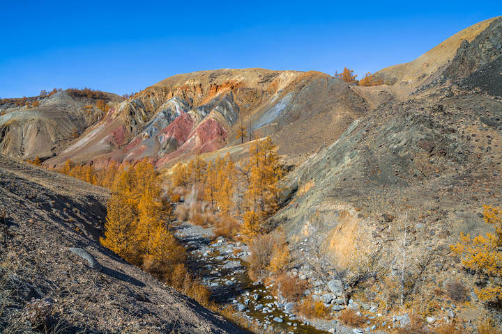 Летом и осенью