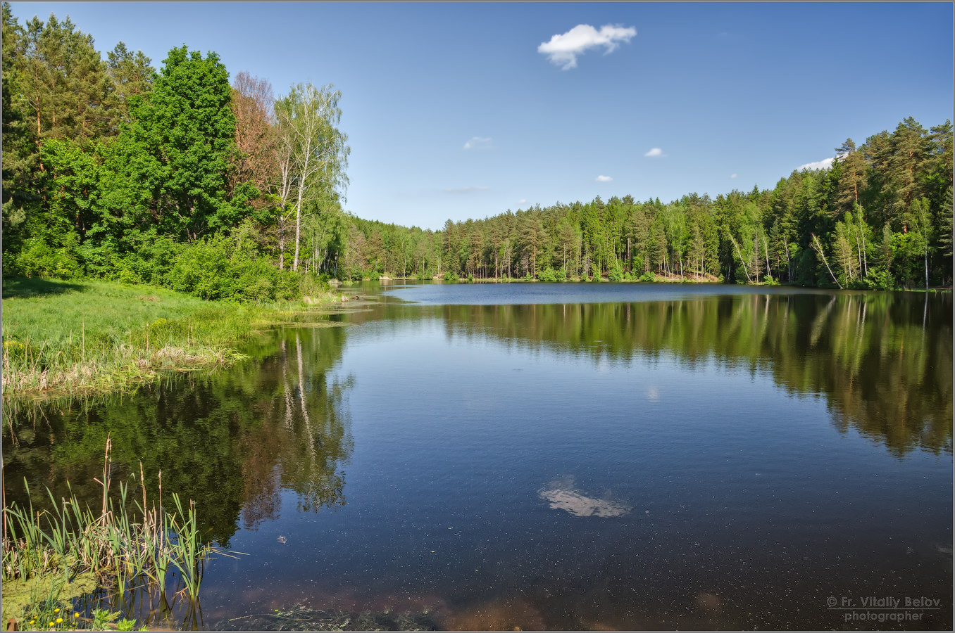 Весенняя тишина лесного озера