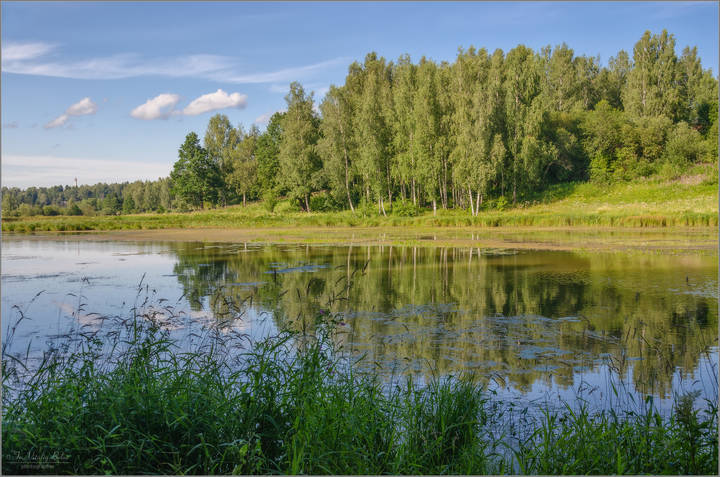 Абрамцево. Река Воря
