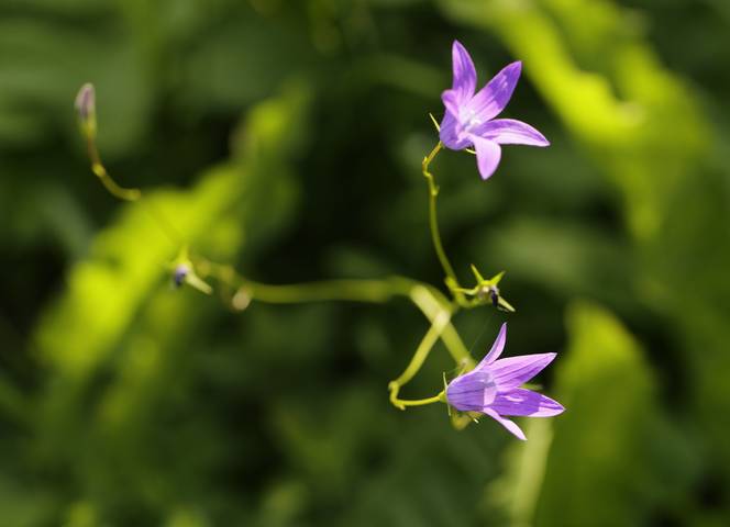 Летний мотив 3