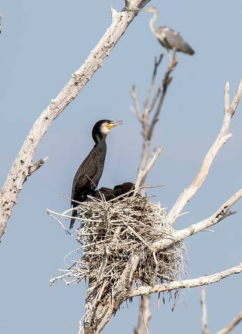 # 4