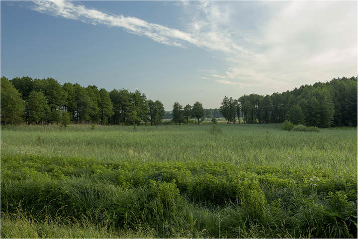 Рассвело