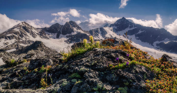 Альпийская горка