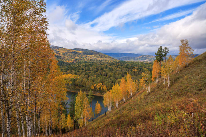 Осенние зарисовки