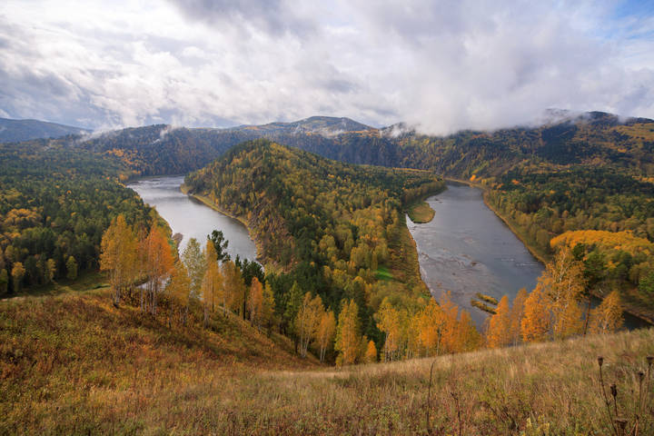 Золотая осень