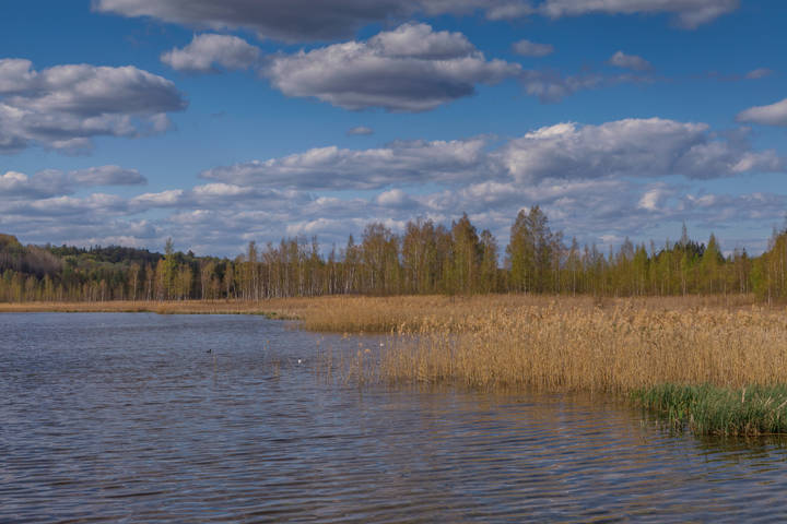 Май- Городищенское озеро