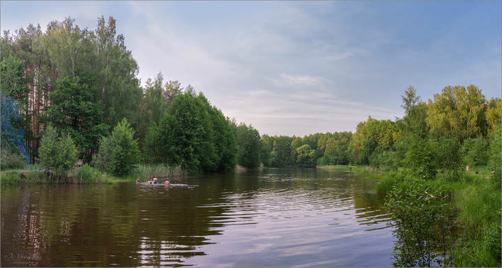 На лесном пруду